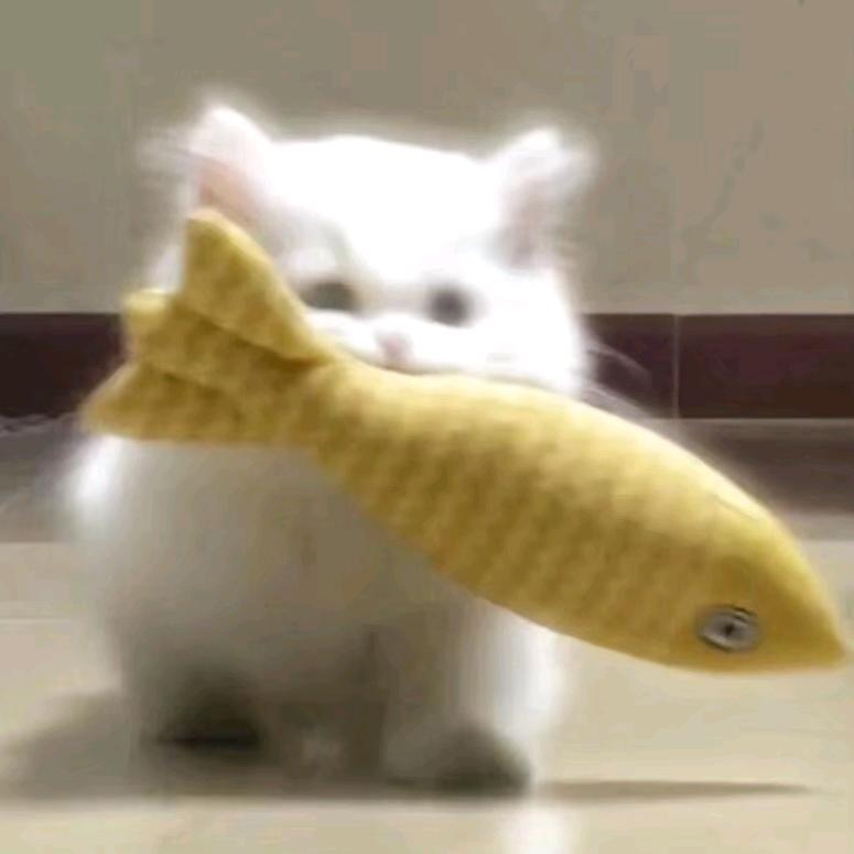 葱香菜都不要