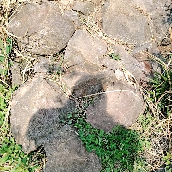 过好美一天