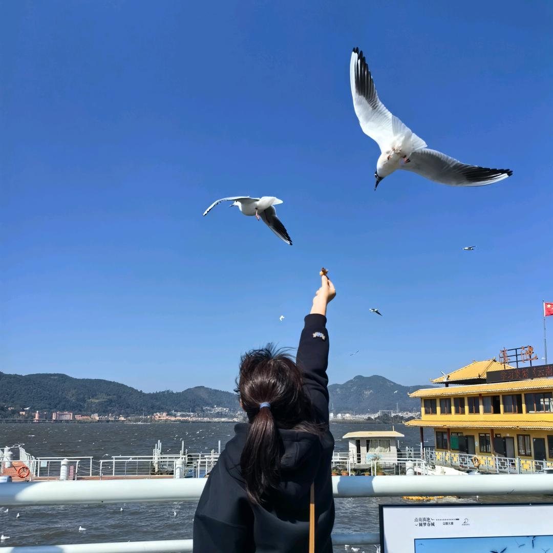 宁公子