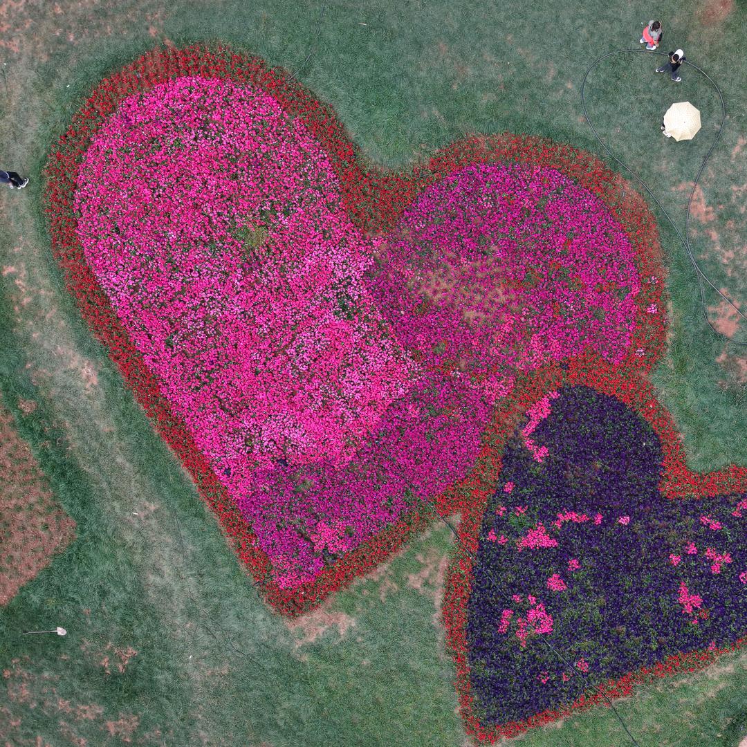 🍒᭄💞云端视角💞