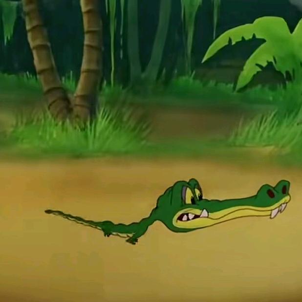 落叶🐢