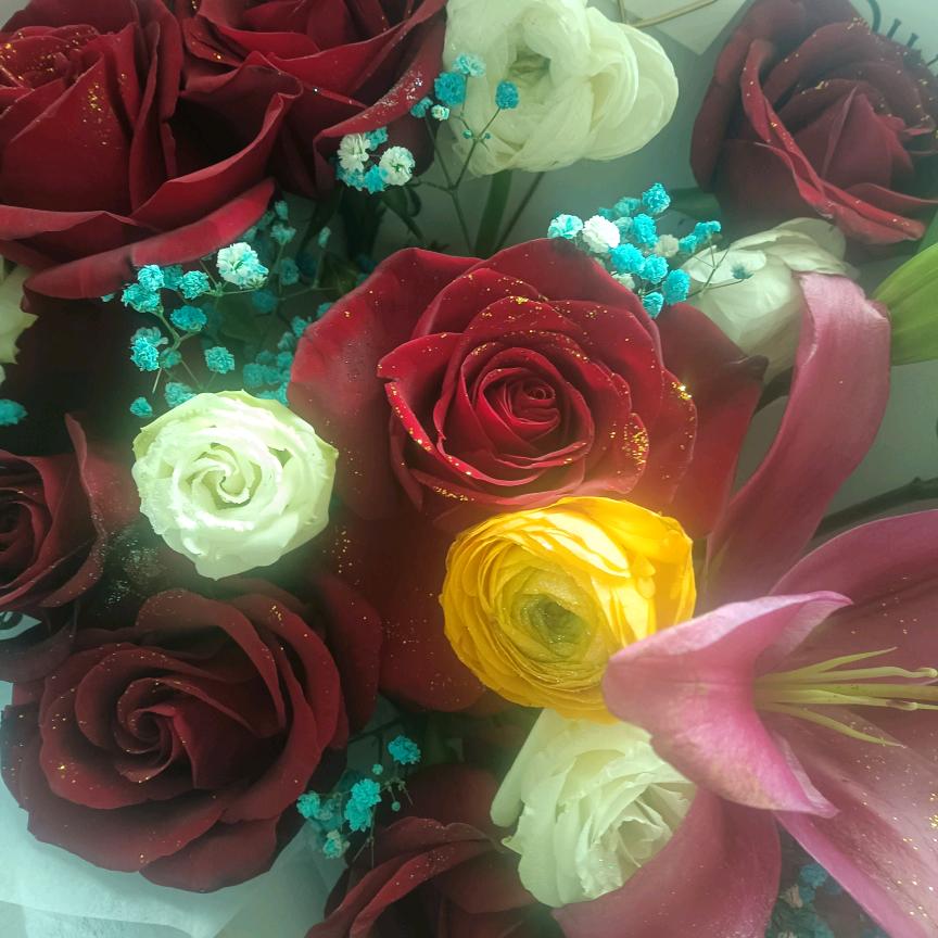 💞࿐傻ღ᭄᭄丫头💞࿐