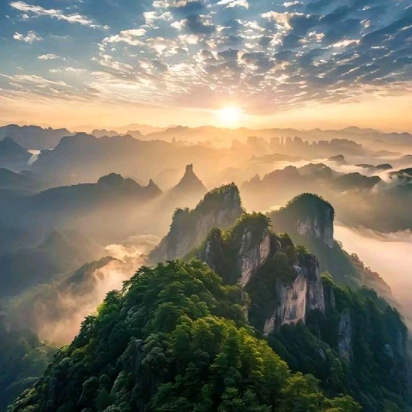 微笑向钱四姐🌻🌻🌻