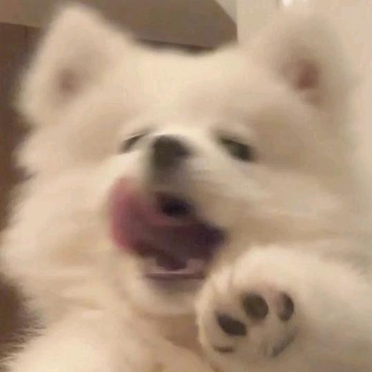 睡醒了吗