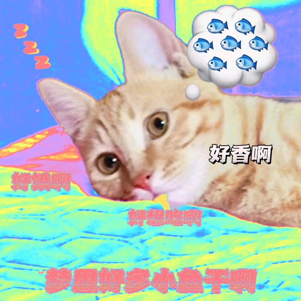 魔法修勾拽不起