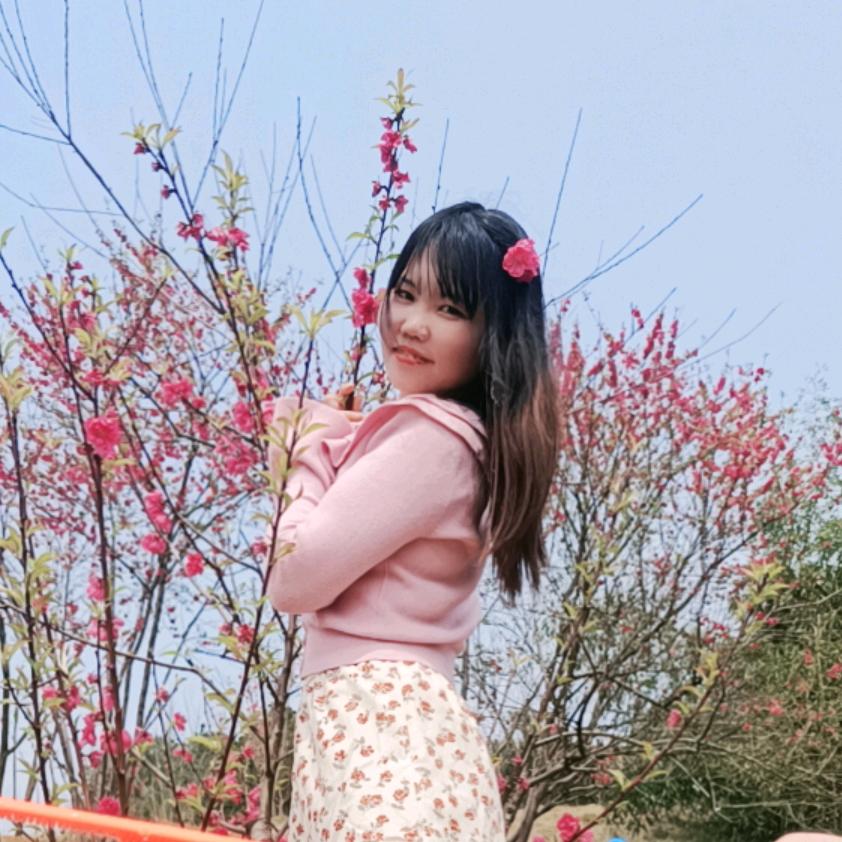 心奴