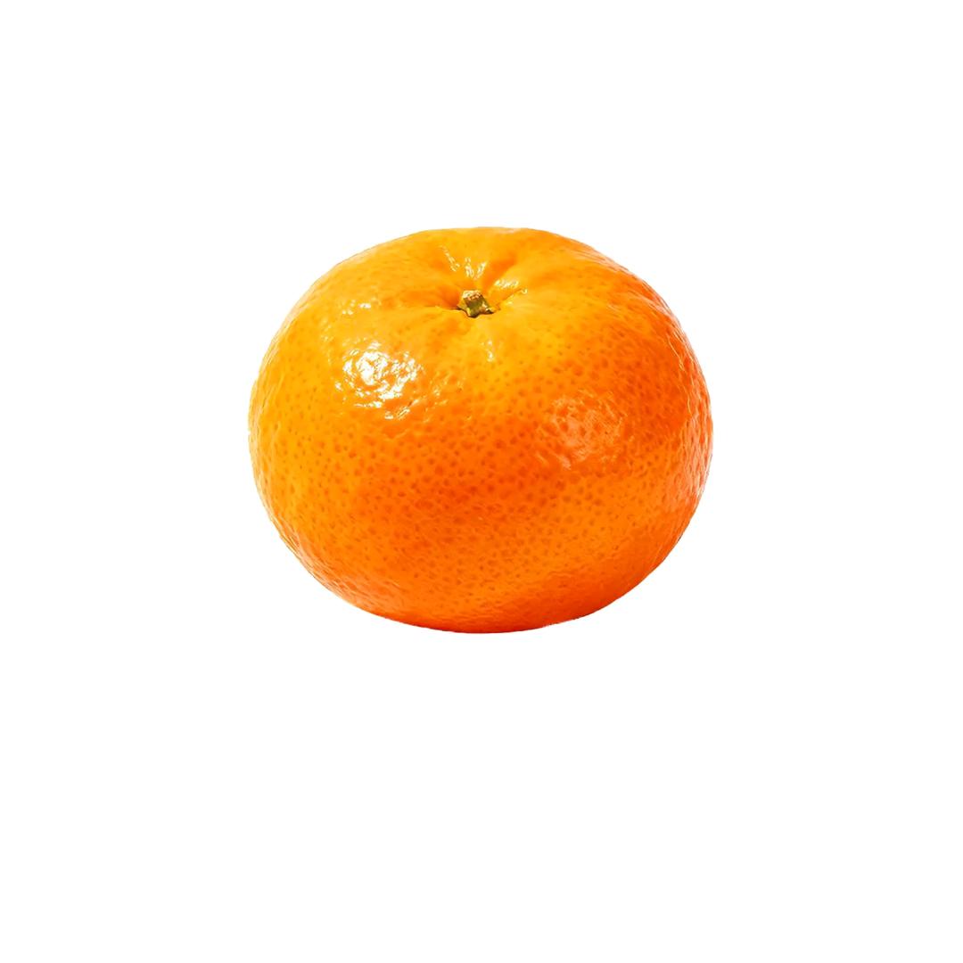 邦邦两拳˙Ⱉ˙ฅ、