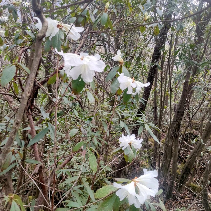 爱过无悔