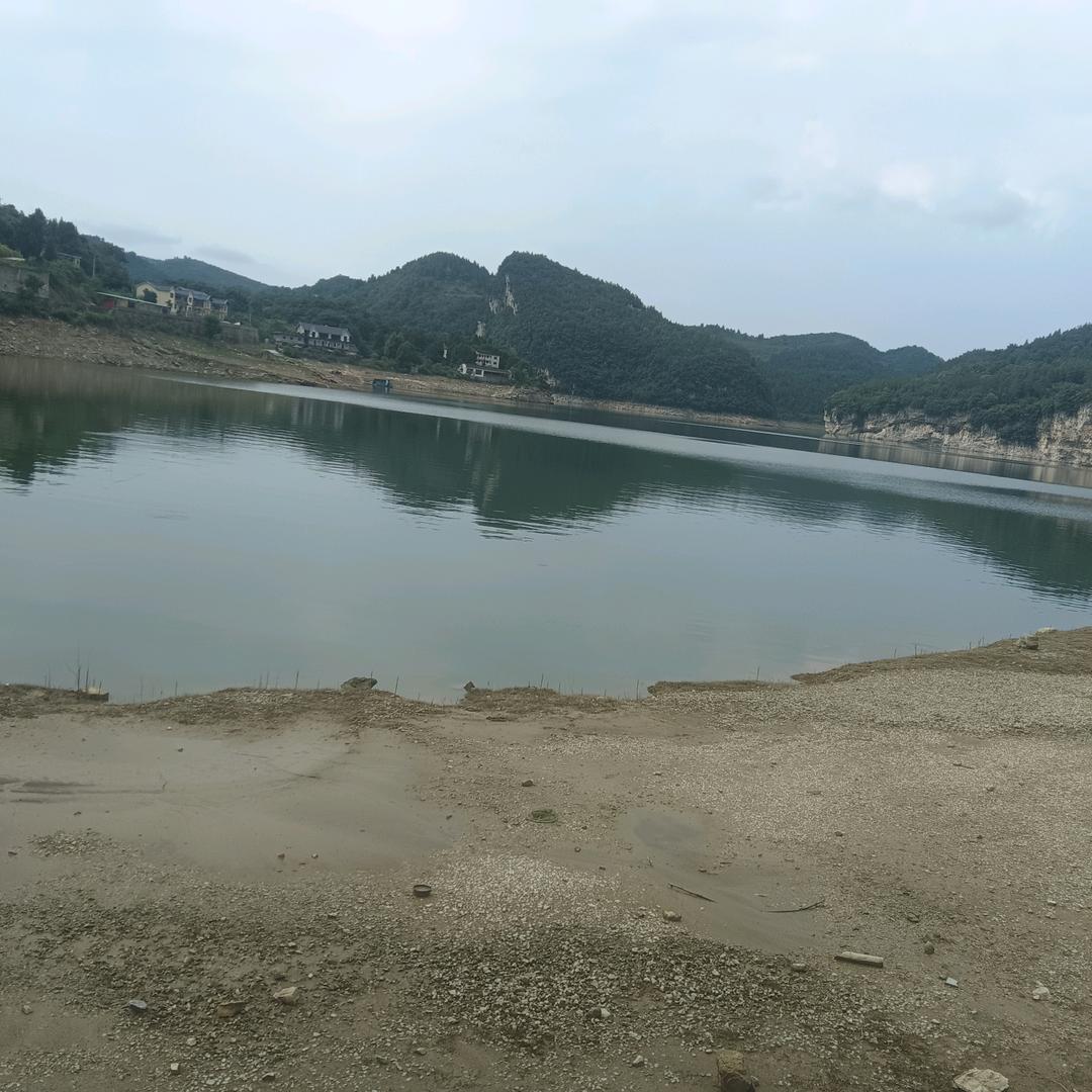 _                  _