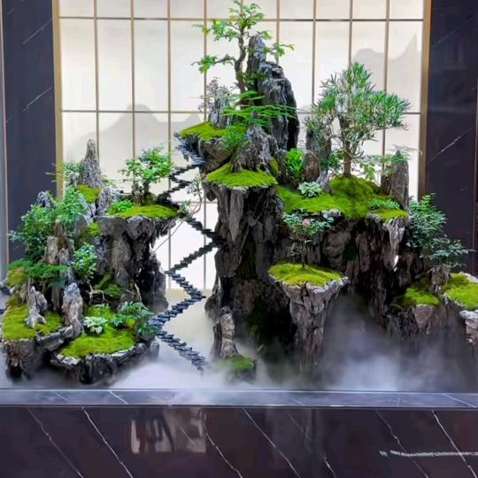 陆良水族水景