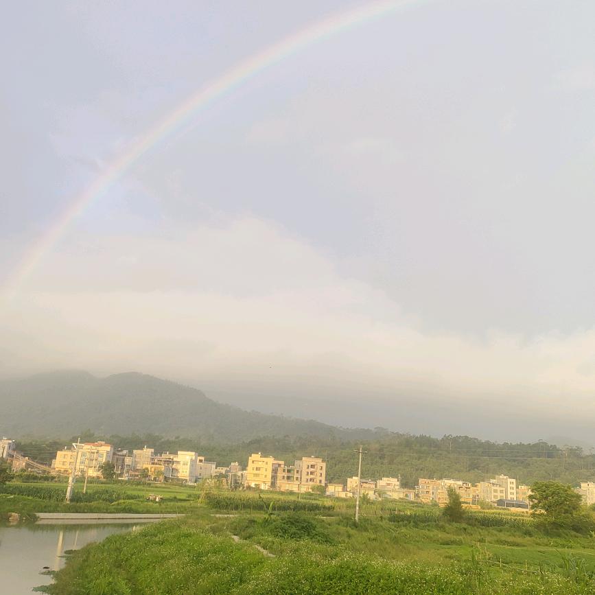 灿烂的笑容