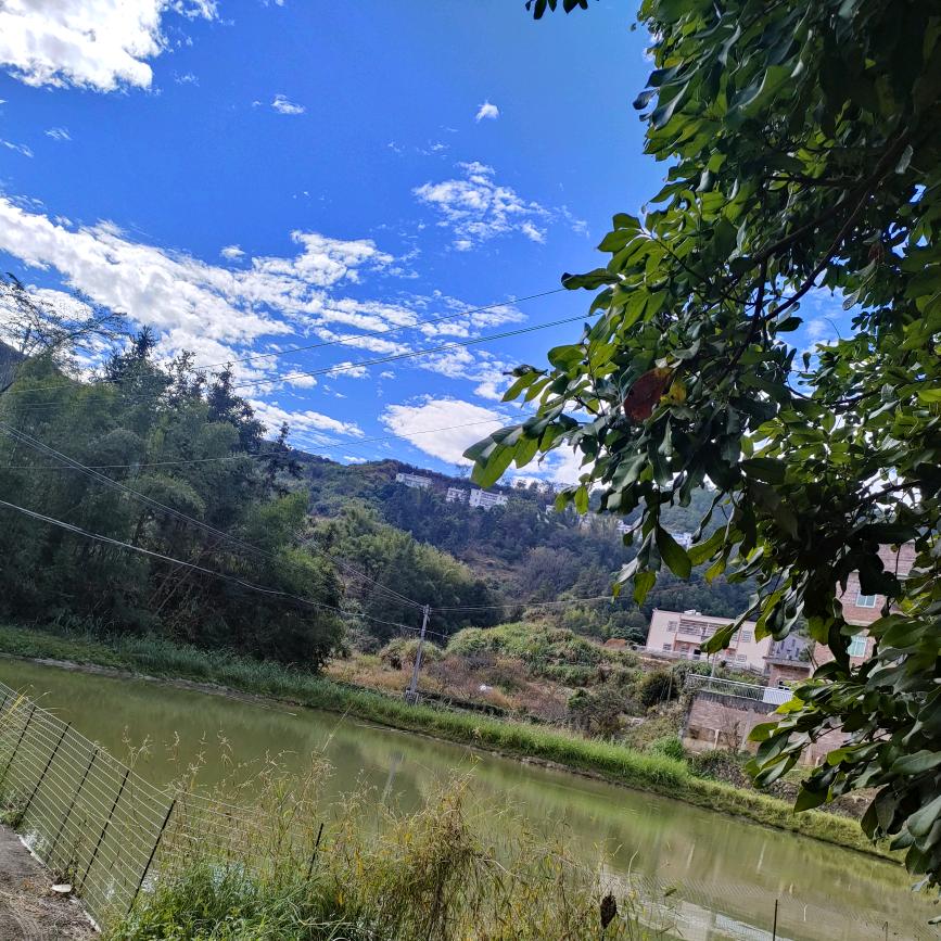 简单得让人感到复杂