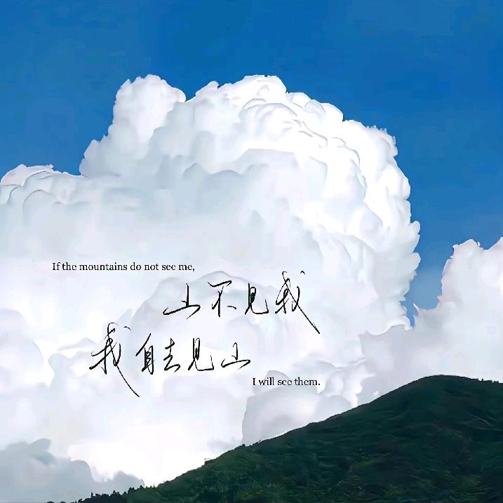 赵赵