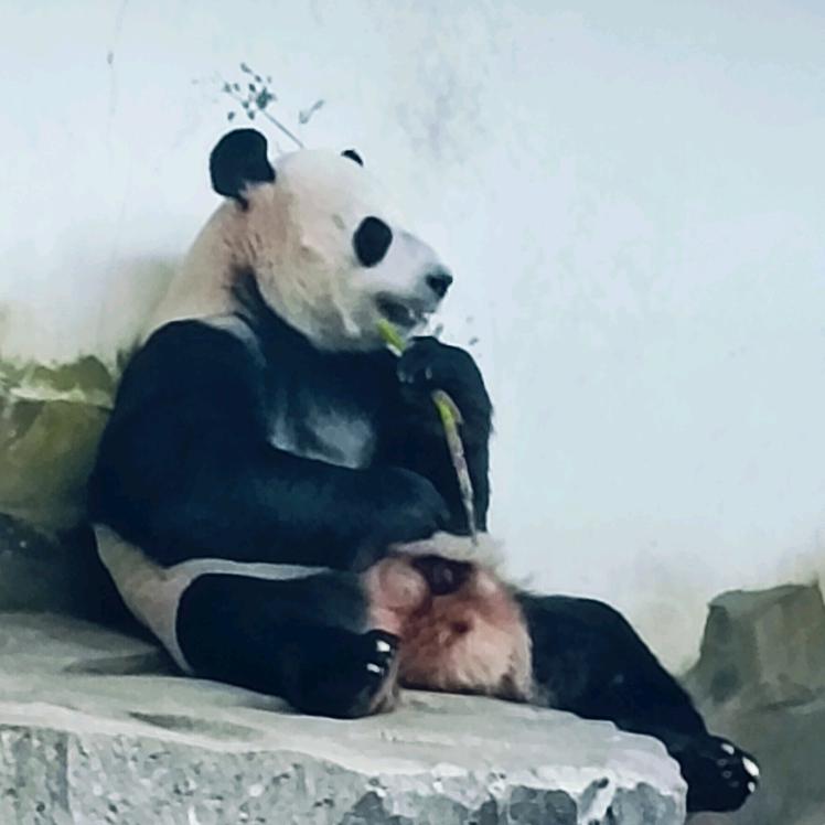 一个爱笑的女孩