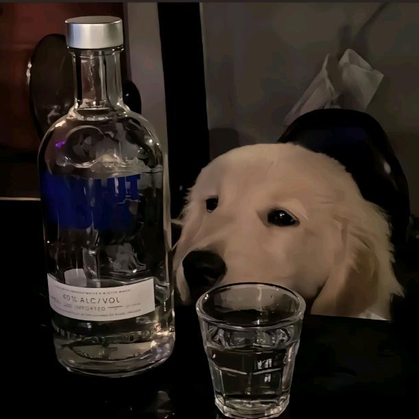 哈喽哭狗 yu