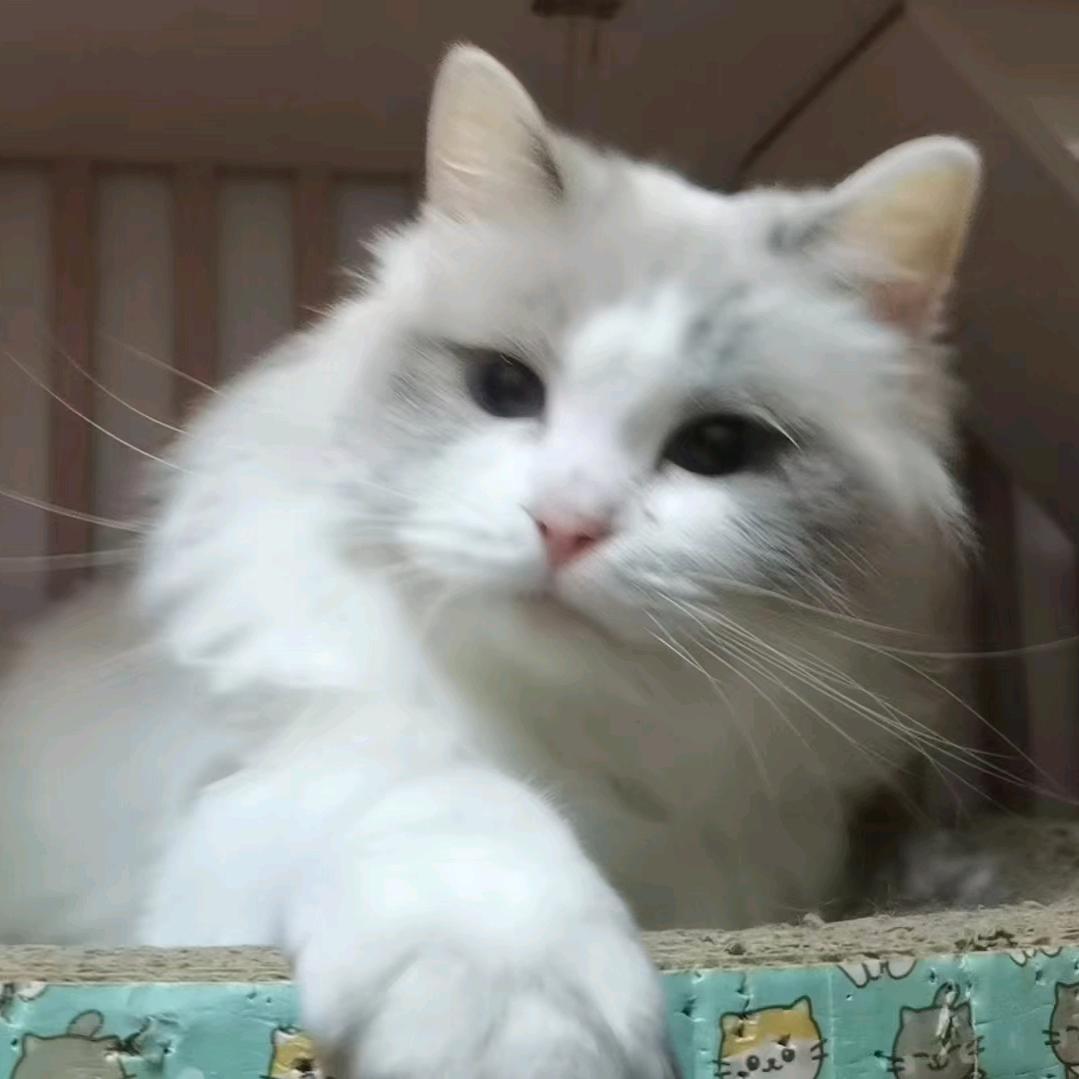 臻奇影视精选