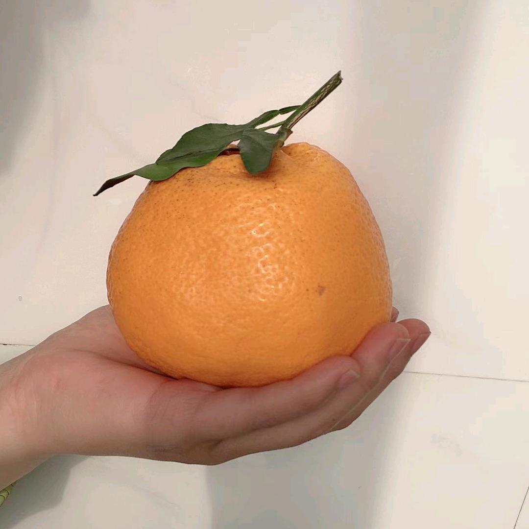 请看图像