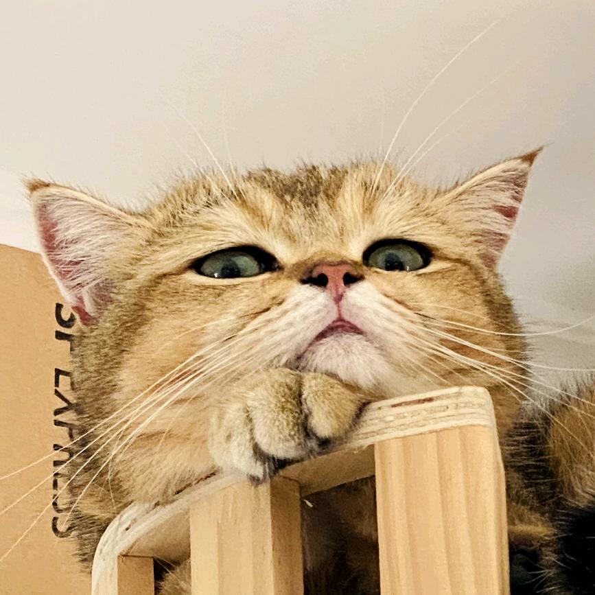 瞧瞧再说
