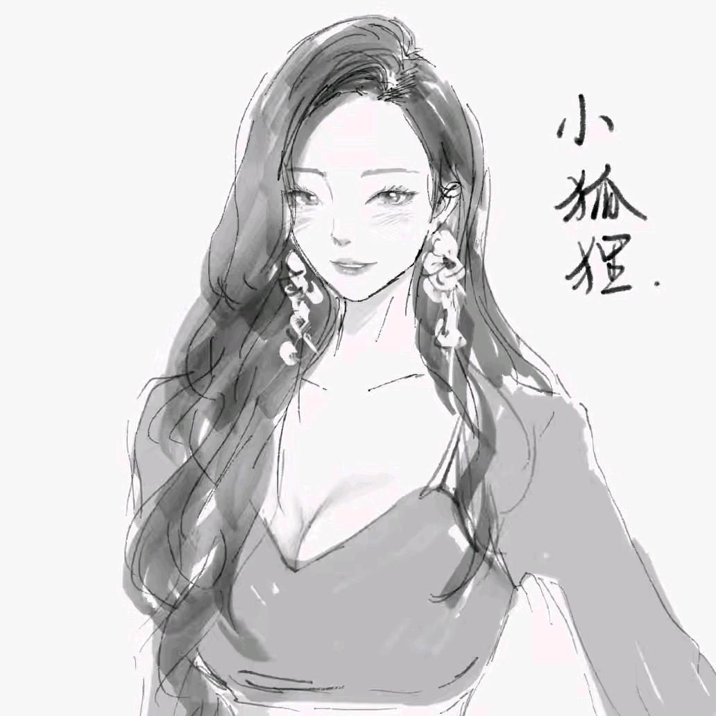 小狐狸