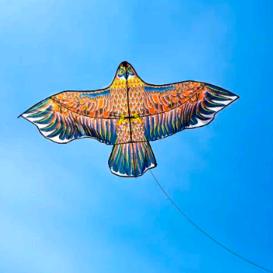 🇨🇳🪁️风筝