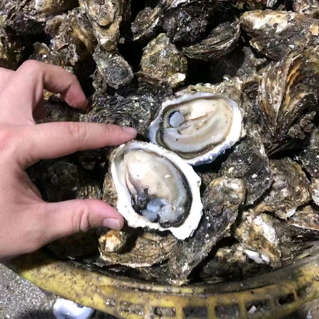 海口龙华瑞宸沐商贸行（个体工商户）