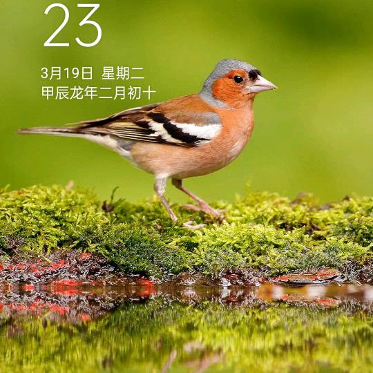 阿姐