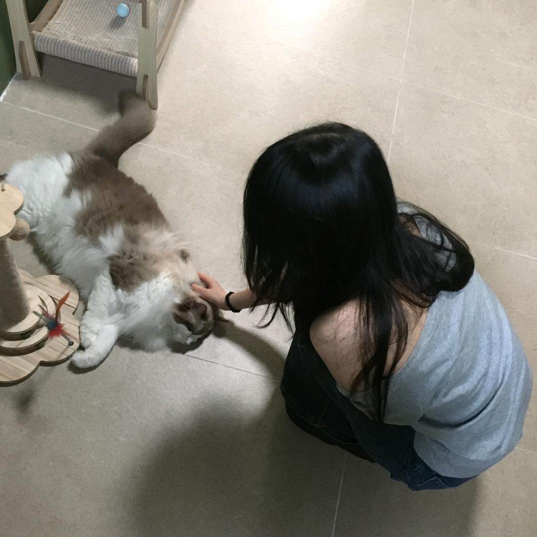 来口小卷粉