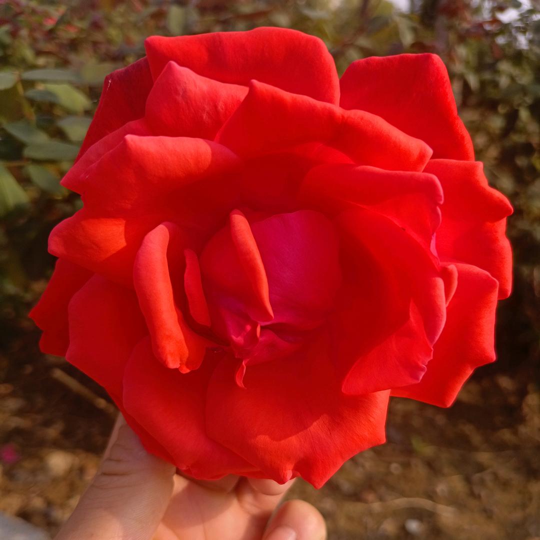 美容养生健康管理