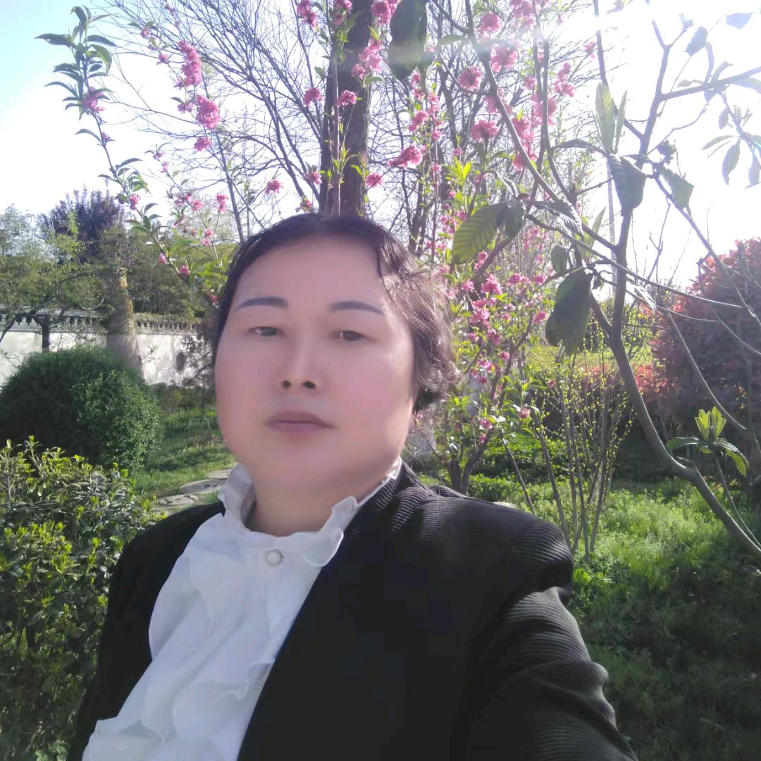 枫   叶🍁✨✨✨