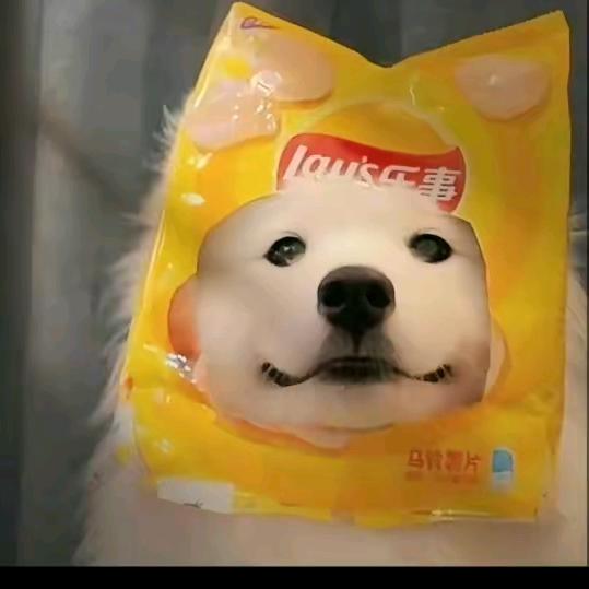当下有坤