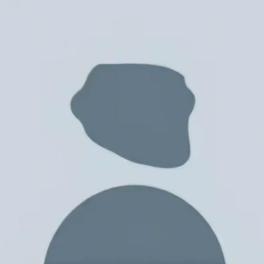 虚拟母猪