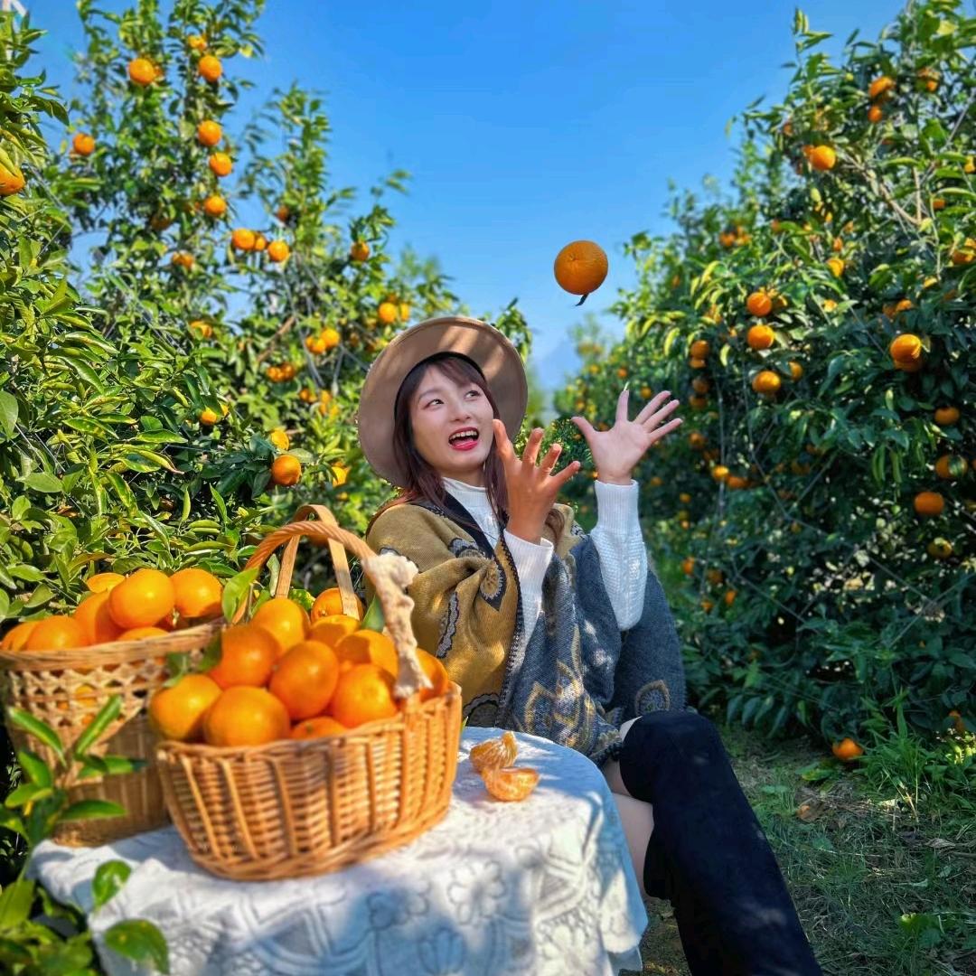 雨姐讲柑橘