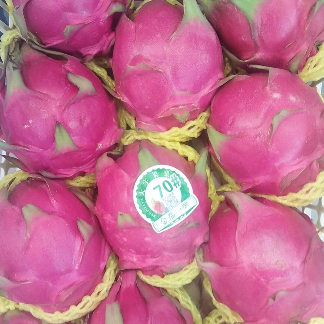 新宁县乐尔乐，文哥