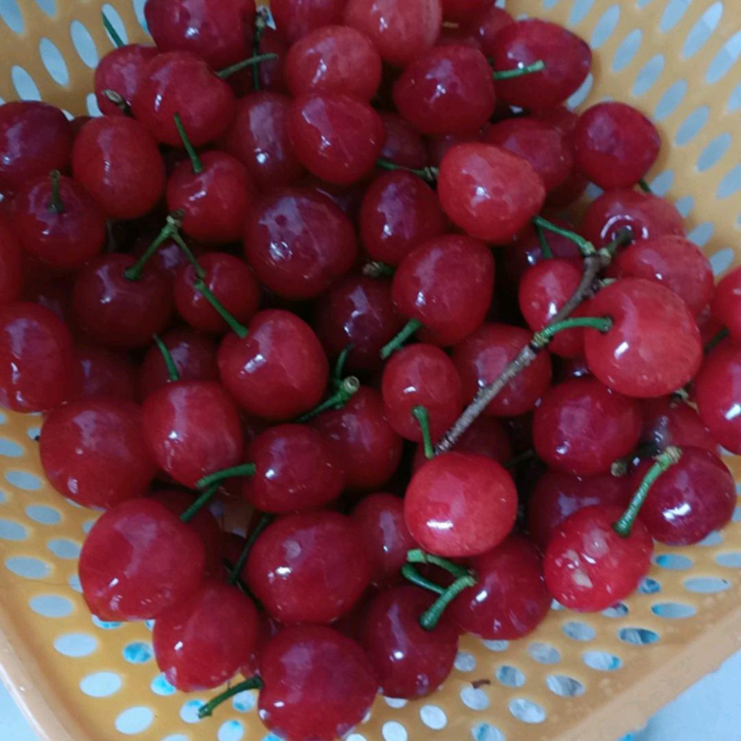 爱就不要伤害♥