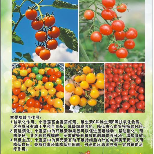 正宗乡村土货代购（成都）