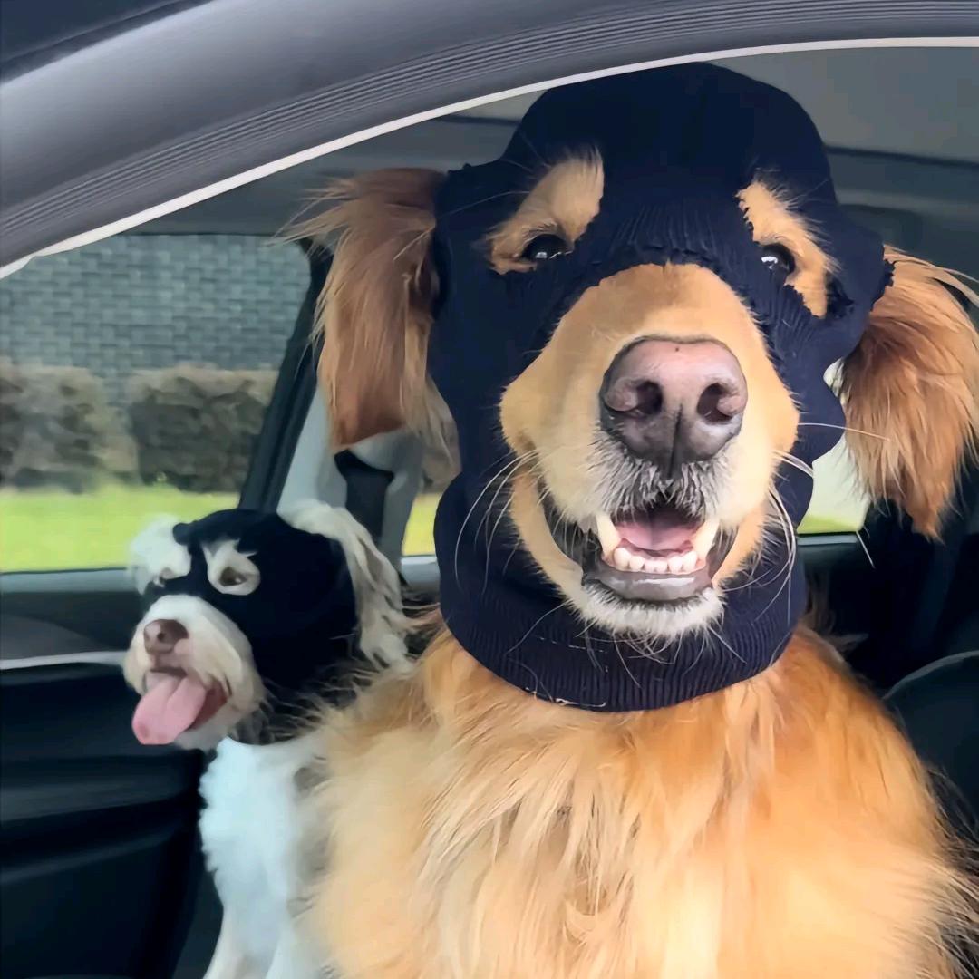 黄宅第一双花红棍