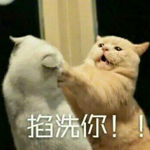 十一月