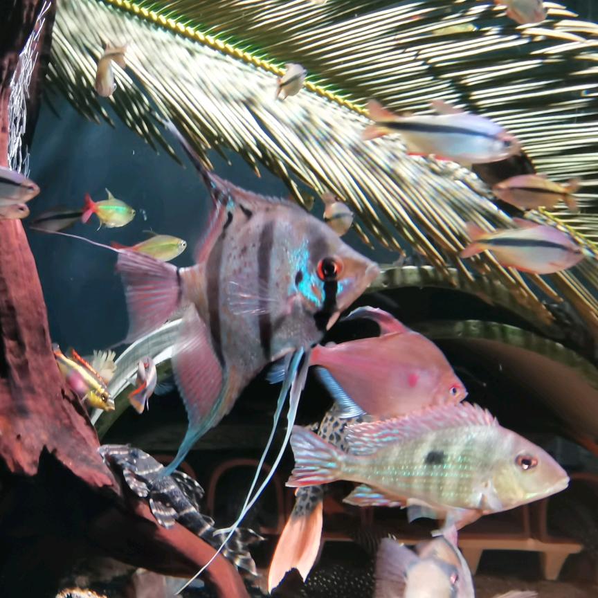 —━╋うls彽蜩點