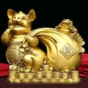 猪哥倒🐷