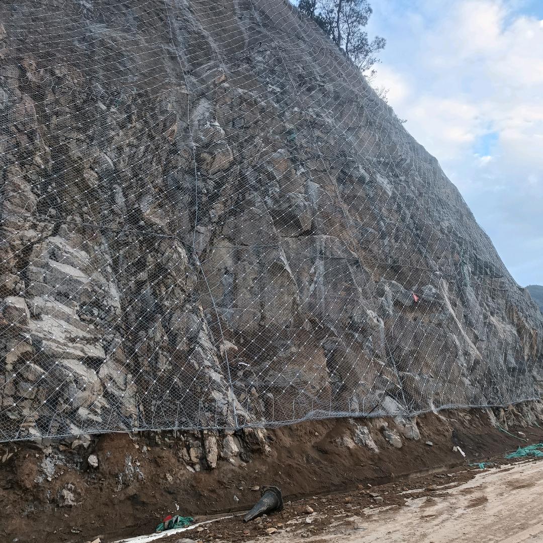 天天有李，岁岁有然，供你参考