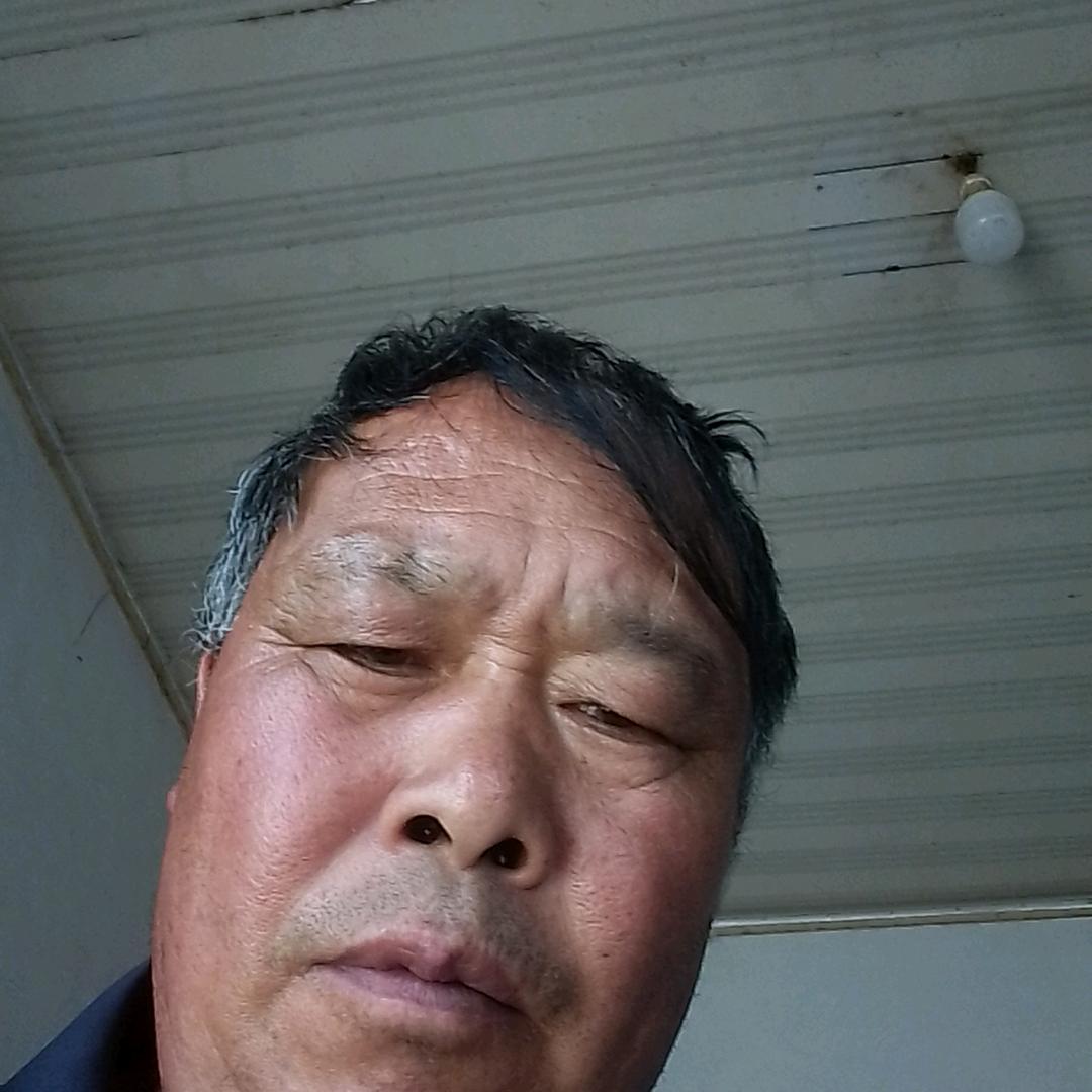 真心想你邓