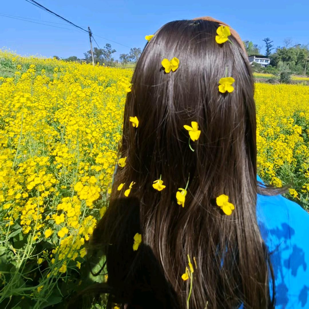 厨娘桂花
