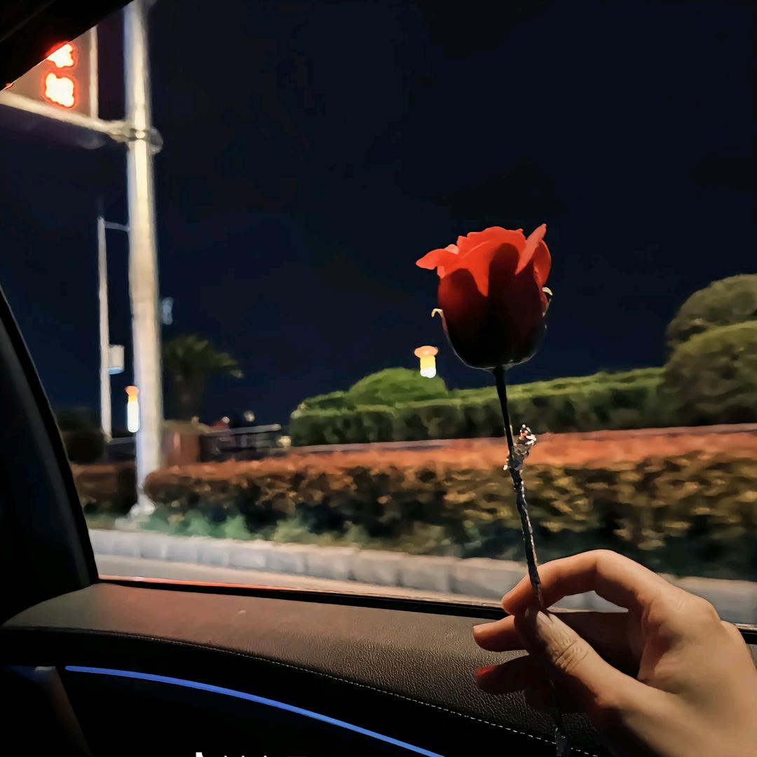 番茄你个西红柿