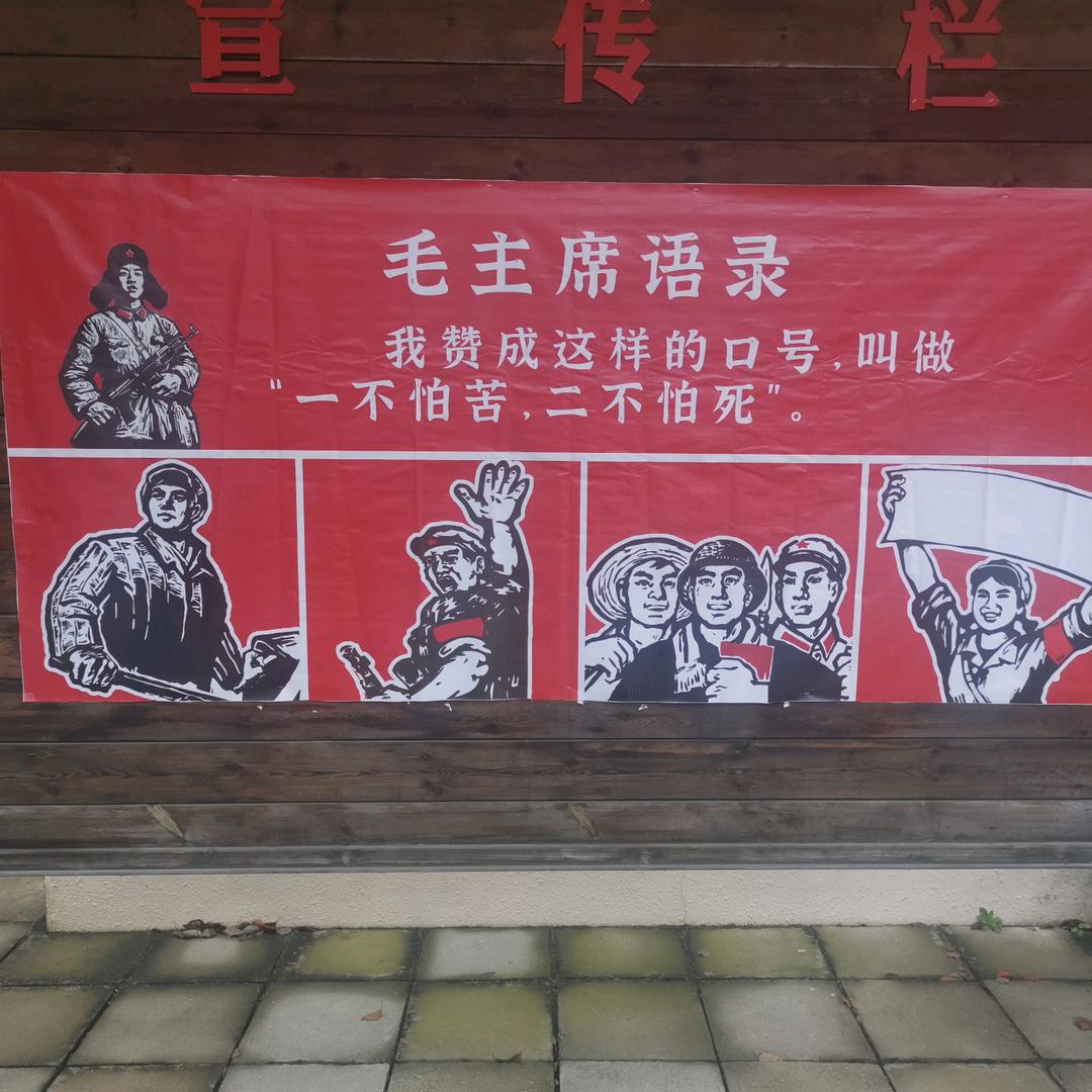 东方龙9211