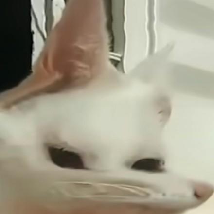 美吕