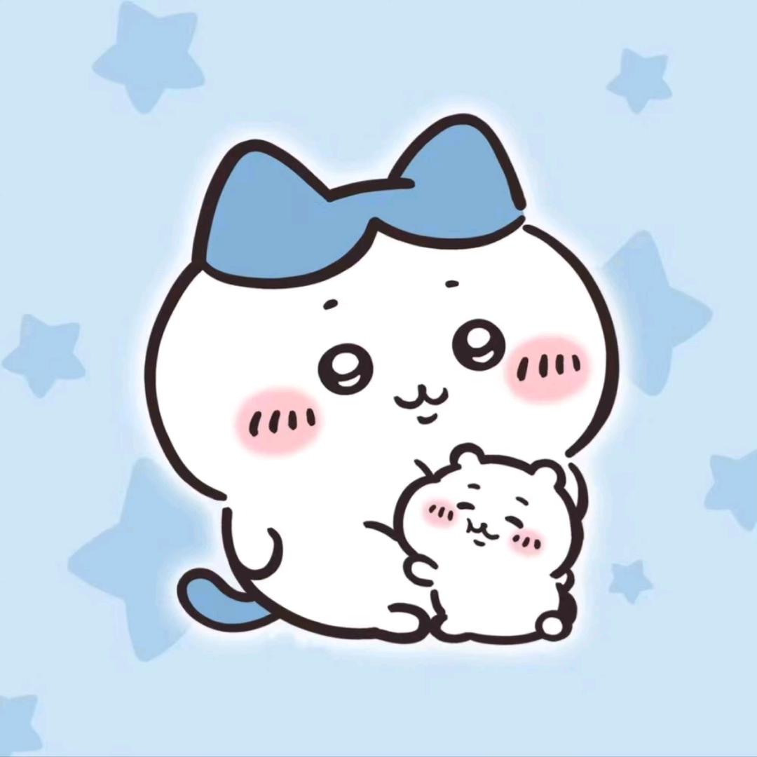 小7爱睡觉