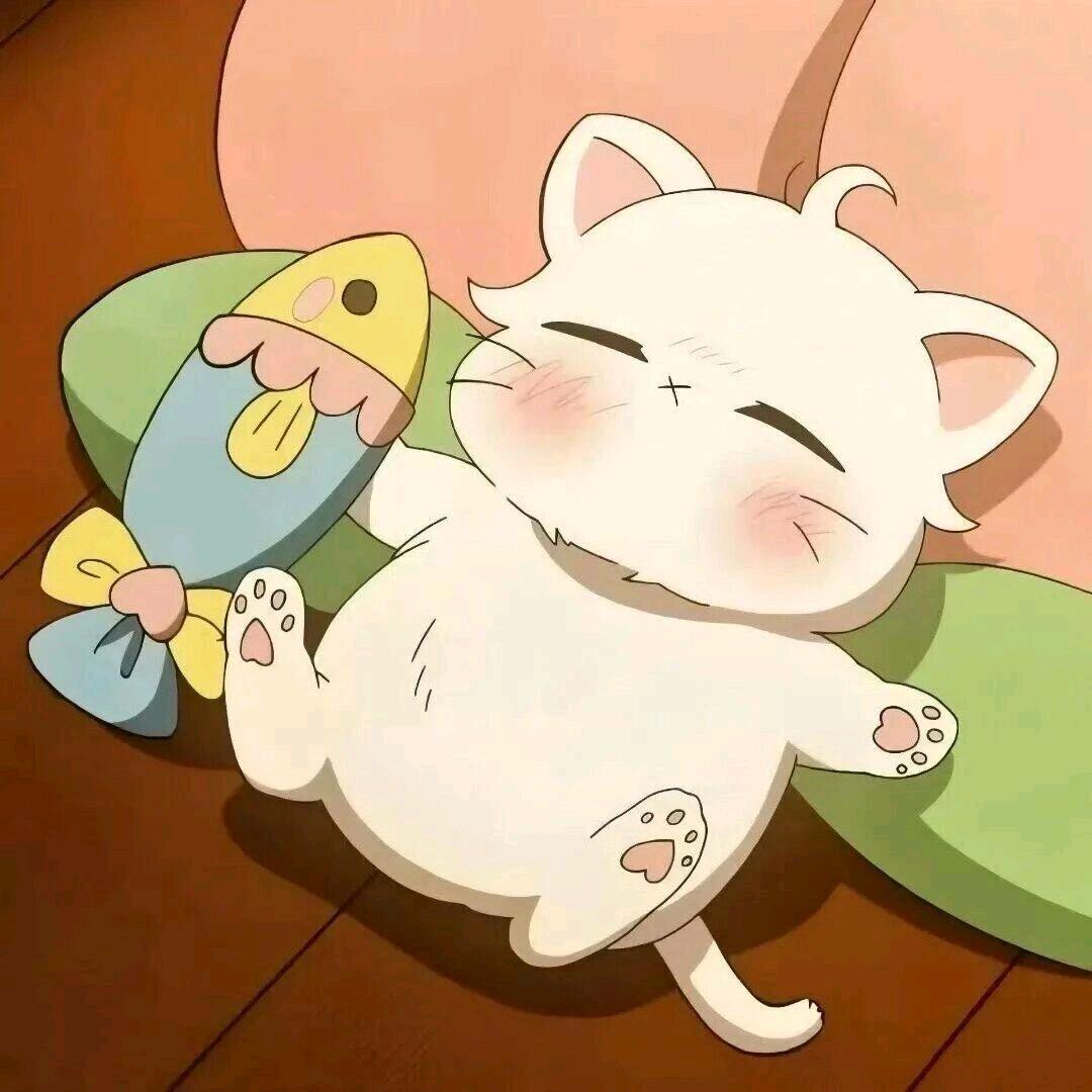 秋芙💕
