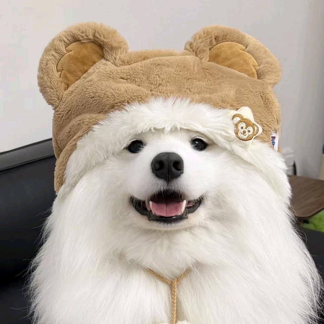 ฅ豆᳐豆᳐੭