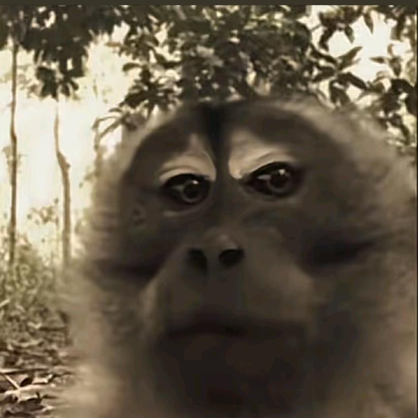 晓舞