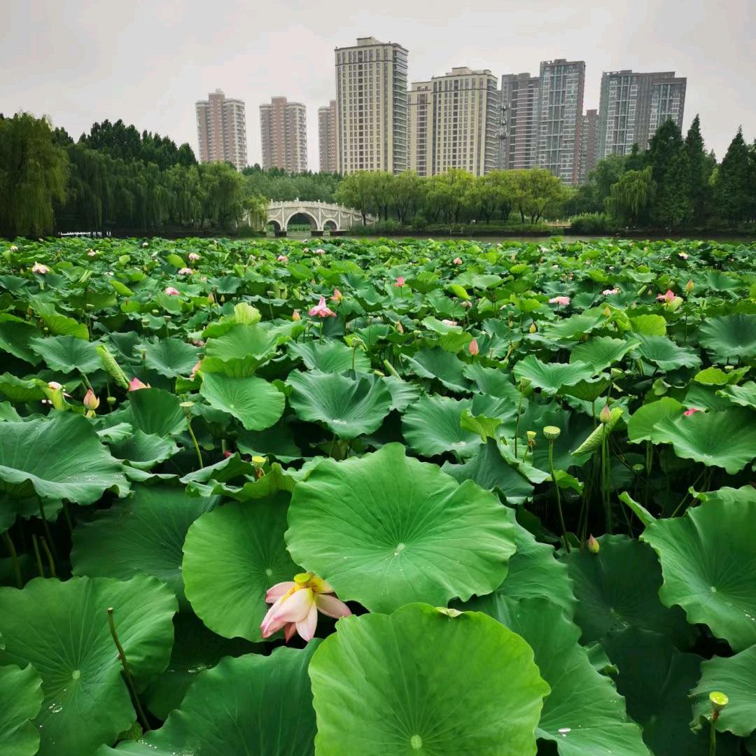 心向暖阳